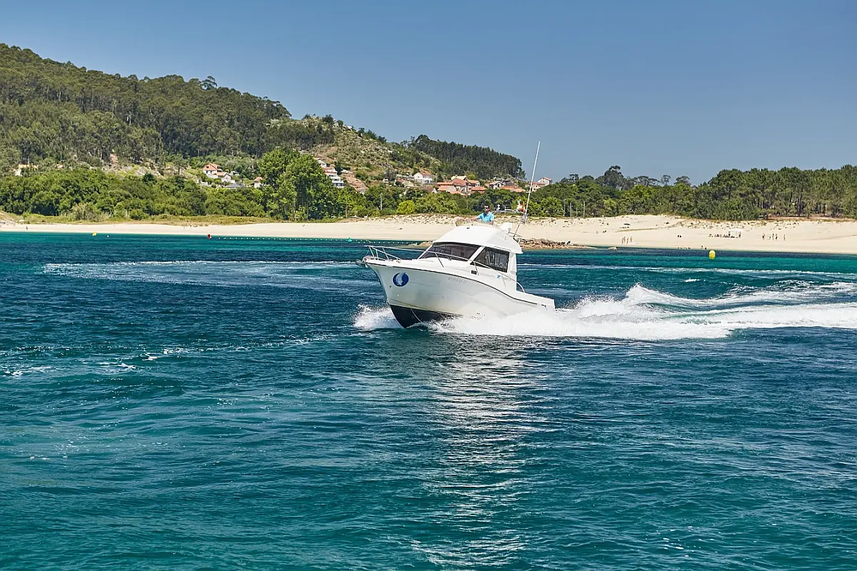 Rodman Fly 870 - 